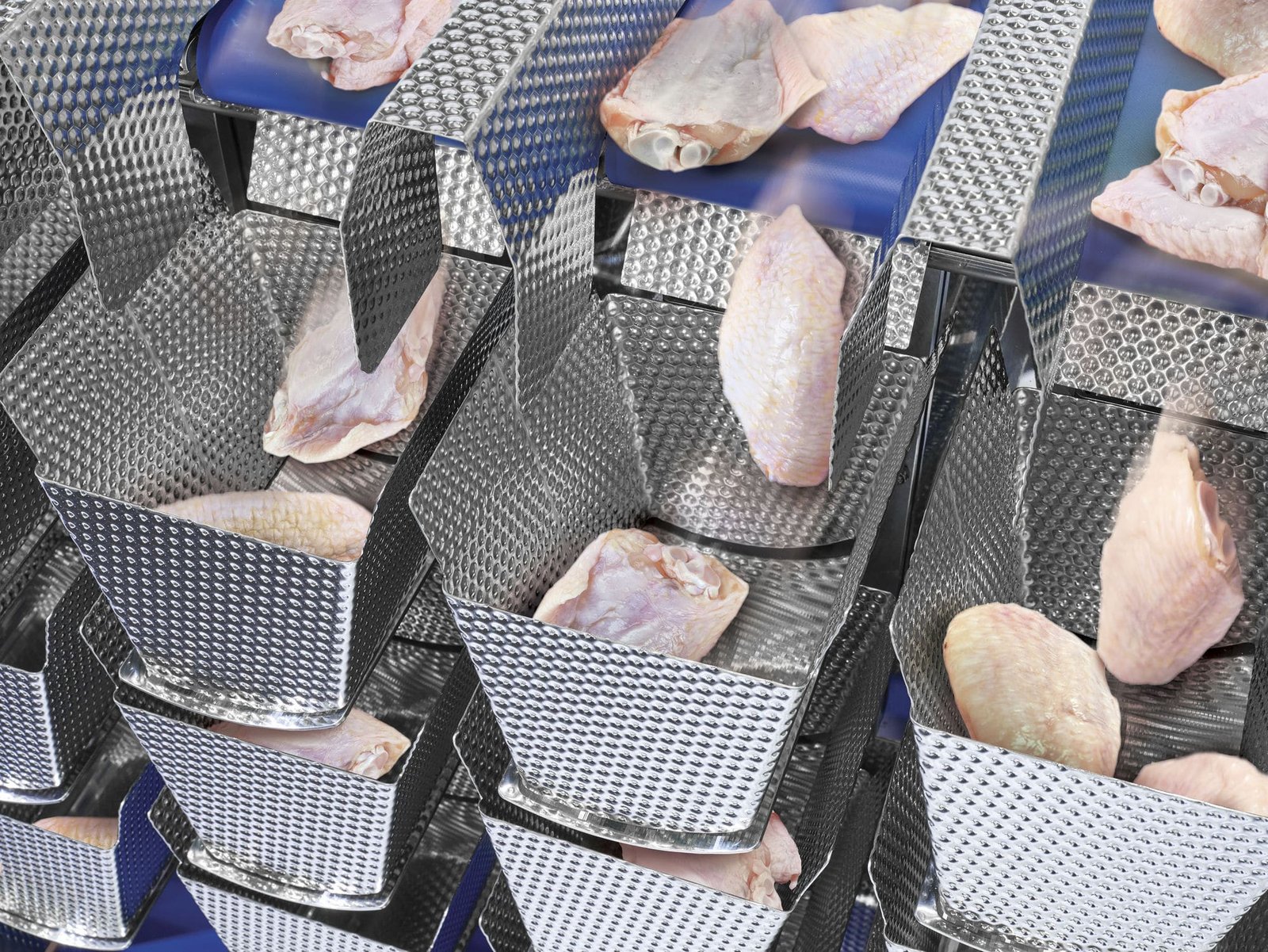 Весовой дозатор свежих продуктов Ishida Fresh Food Weigher — фото 4